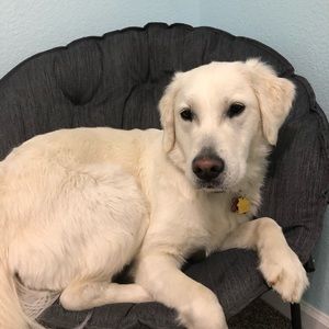 Meet your Posher, Caroline